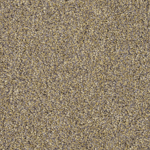 Gradus Carezone Carpet Cut Pile