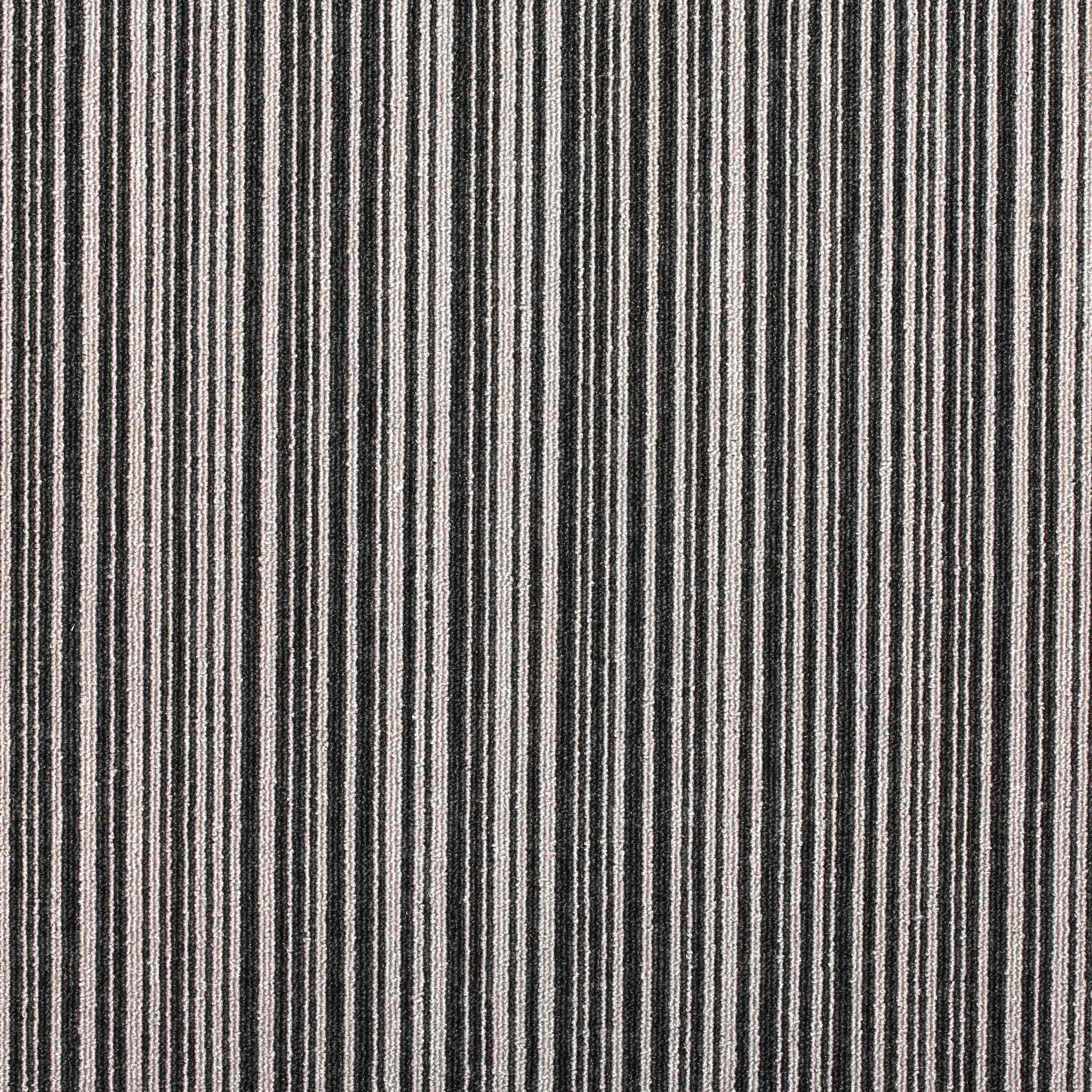 Paragon Codec Carpet Tiles